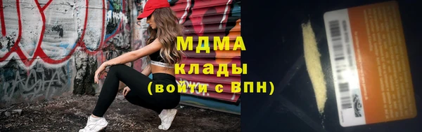 прущие грибы Михайловка