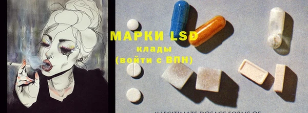 прущие грибы Михайловка